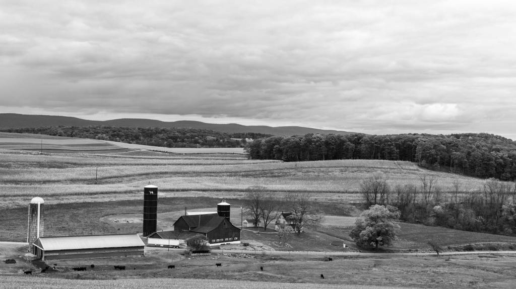 Pennsylvania Tree Planting